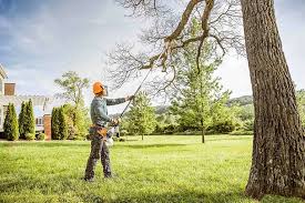 Best Tree Trimming and Pruning  in Goodland, KS